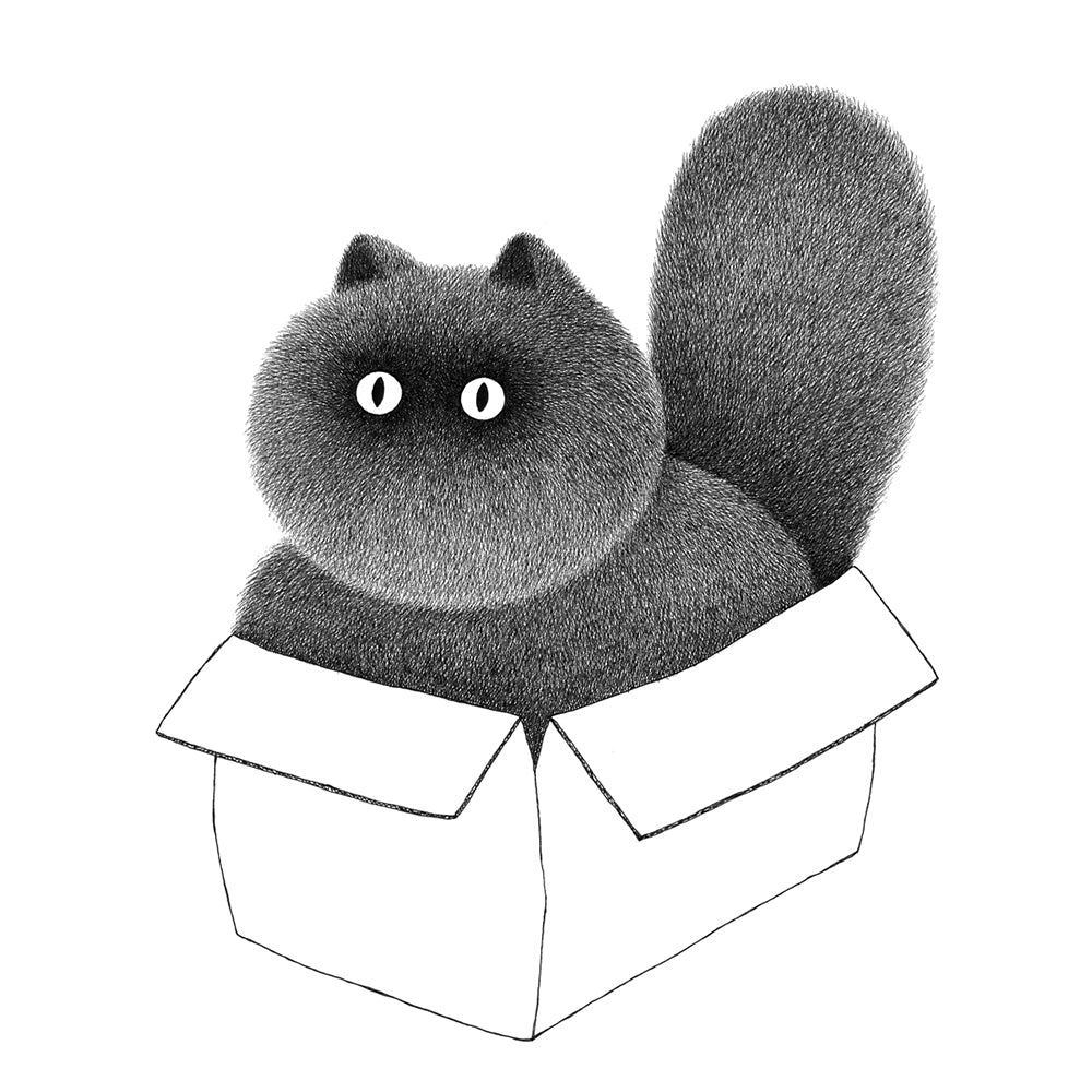 Box - Kitty no.61