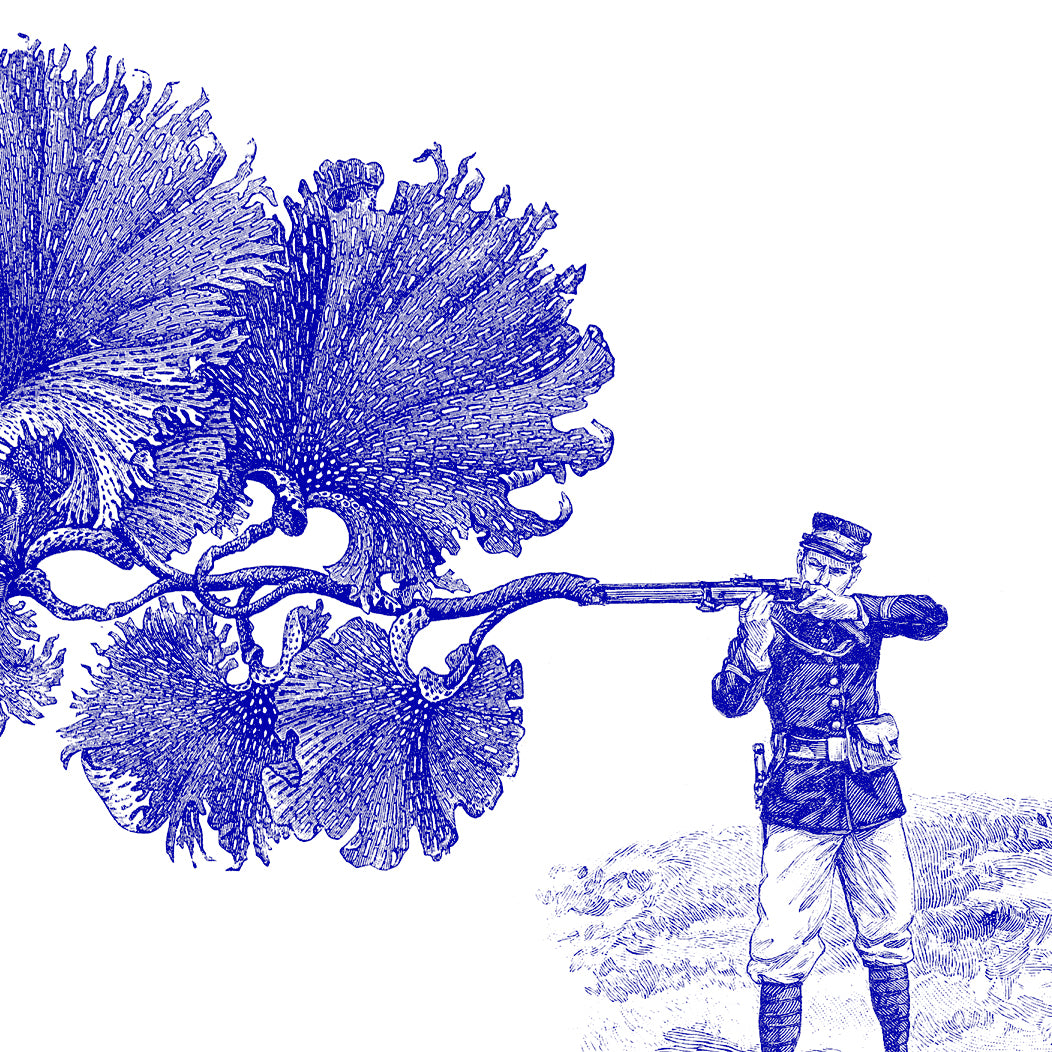 <tc>Fish Tree/魚の木</tc>