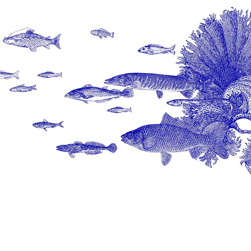 <tc>Fish Tree/魚の木</tc>