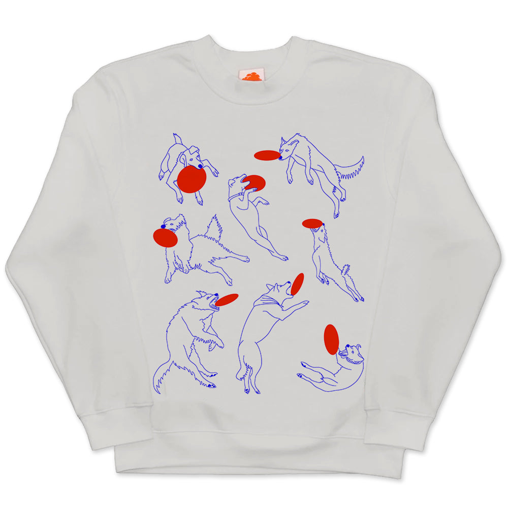 Frisbee/원반 던지기