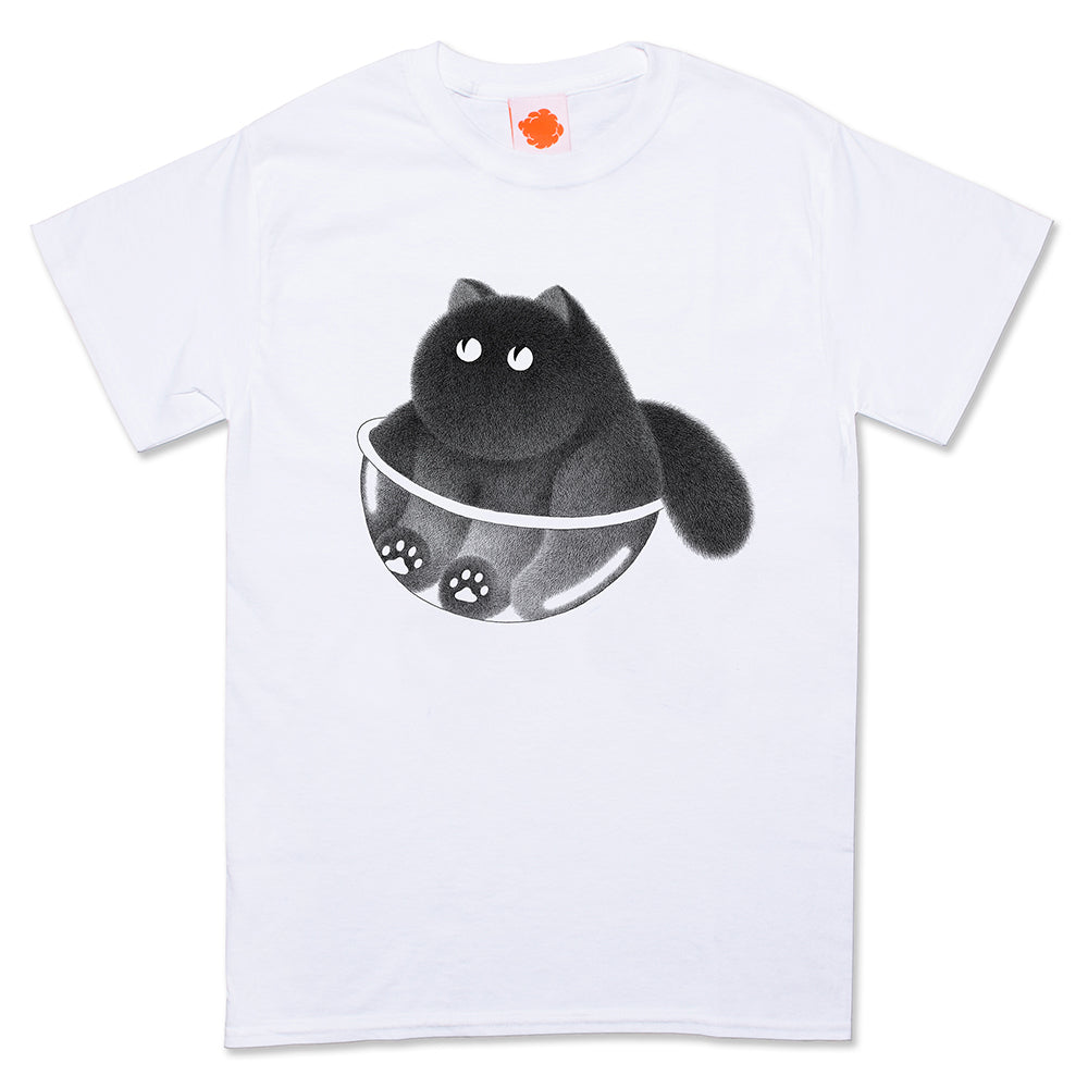 Kitty in the bowl/ボウルの子猫