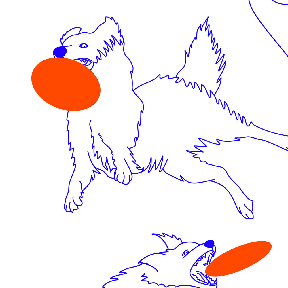 Frisbee/フリスビー